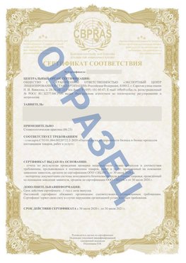 Образец Сертификат СТО 01.064.00220722.2-2020 Чернушка Сертификат СТО 01.064.00220722.2-2020 